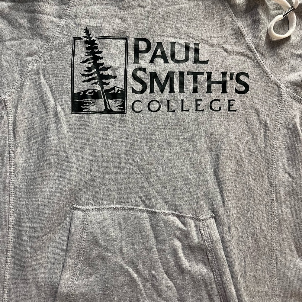 Gray Hooded sweater Dress with Paul smiths college logo - Picture 2 of 3